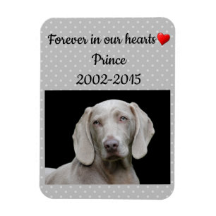 Imán Editable Gris Para Siempre En Nuestro Mascota De C