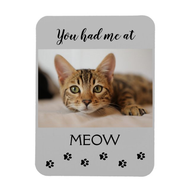 Imán Editable Me Tenías En Meow (Vertical)