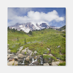 Imán Edith Creek y los prados de flores silvestres en P