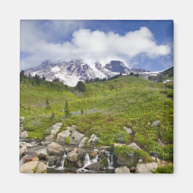 Imán Edith Creek y los prados de flores silvestres en P (Frente)