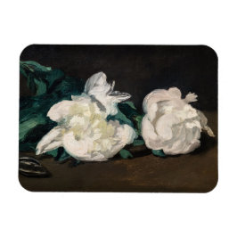Imán Edouard Manet - Rama de los pueblos blancos, secul