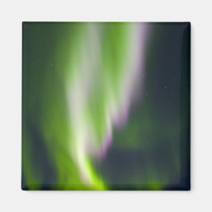 Imán EE.UU., Alaska, Chena Hot Springs. Aurora Boreal
