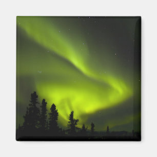 Imán EE. UU., Alaska, Chena Hot Springs. Aurora Boreali
