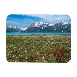 Imán EE. UU., Alaska, Parque Nacional Glacier Bay 2