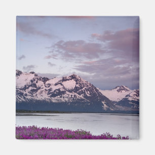 Imán EE. UU., Alaska, Valle del río Alsek. Vista de Als