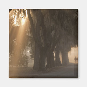 Imán EE.UU.; América del Norte; Georgia; Savannah. Chic