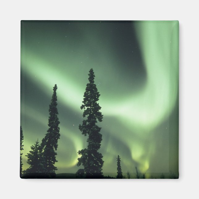Imán EE. UU., área de Fairbanks, Alaska central, Aurora (Frente)