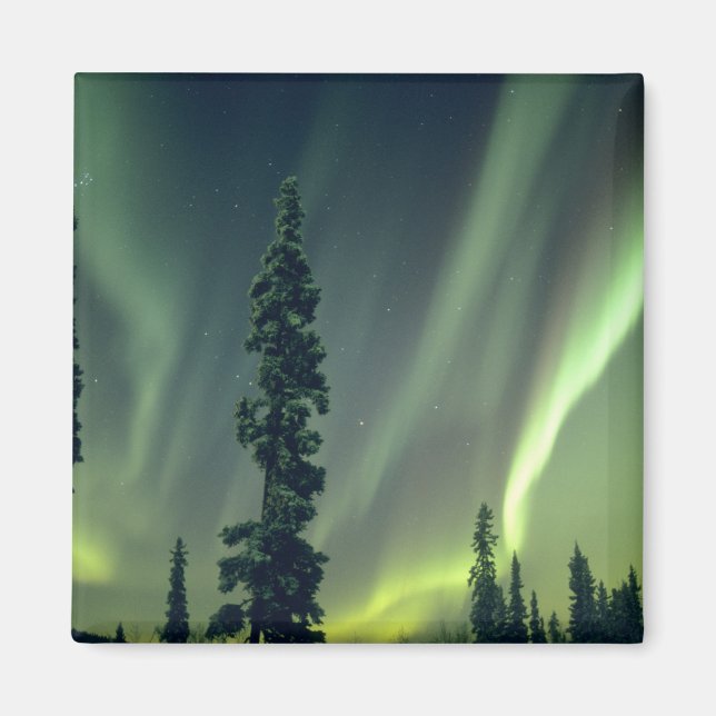 Imán EE. UU., área de Fairbanks, Alaska central, Aurora (Frente)