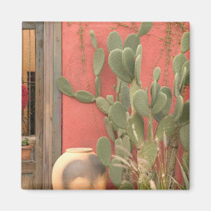 Imán EE. UU., Arizona, Tucson: Distrito Histórico Presi