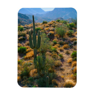 Imán EE.UU., Arizona. Vista del desierto