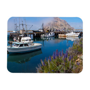 Imán EE. UU., California. Barcos atracados en la bahía 