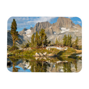 Imán EE. UU., California, Bosque Nacional Inyo 13