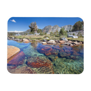 Imán EE. UU., California, Bosque Nacional Inyo 4