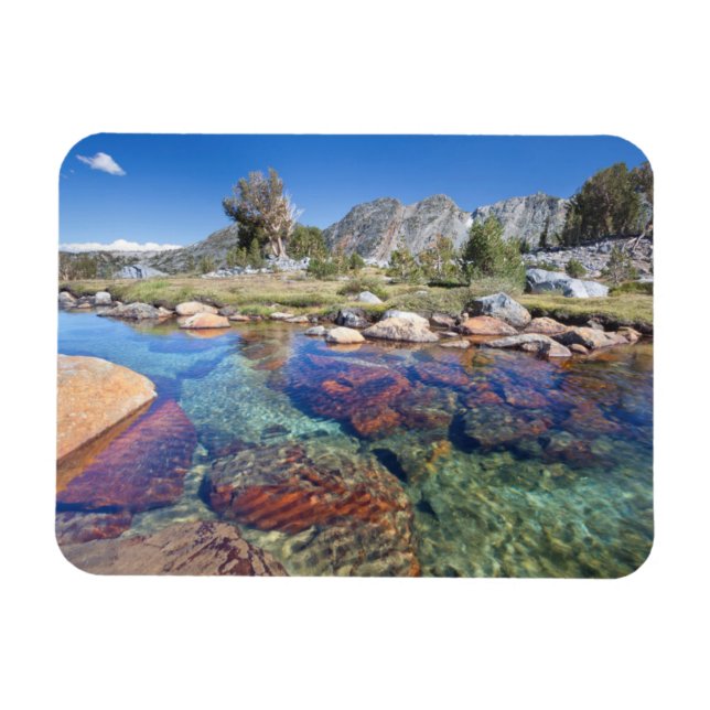 Imán EE. UU., California, Bosque Nacional Inyo 4 (Horizontal)