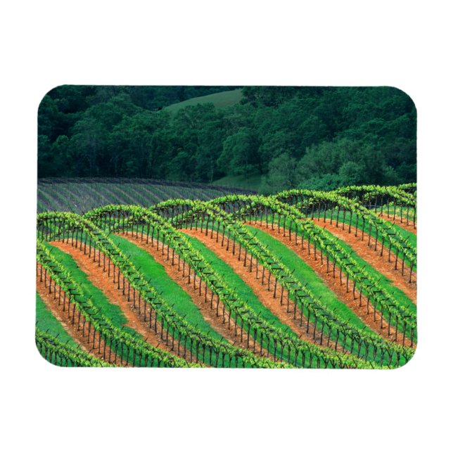 Imán EE.UU., California, condado de Mendocino, un hospi (Horizontal)