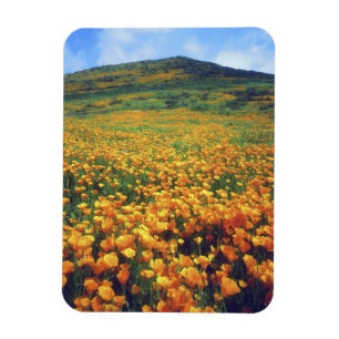Imán EE. UU., California, Lago Elsinore. California