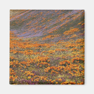 Imán EE. UU., California, Montañas Tehachapi, 2