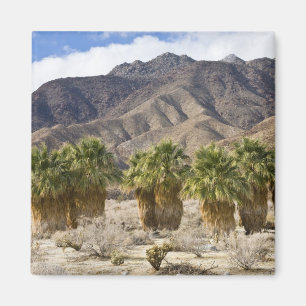 Imán EE. UU., California, Parque Estatal del Desierto d