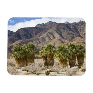Imán EE. UU., California, Parque Estatal Desierto Anza-
