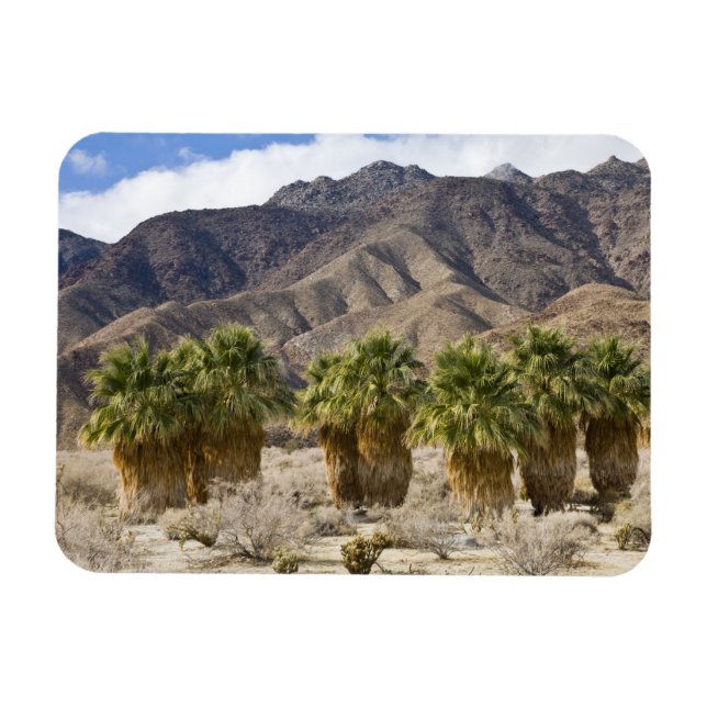 Imán EE. UU., California, Parque Estatal Desierto Anza- (Horizontal)