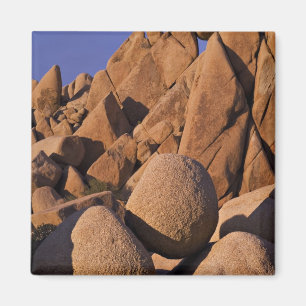 Imán EE. UU., California, Parque Nacional Joshua Tree.
