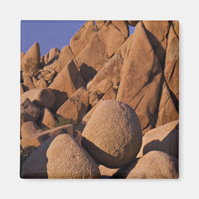 Imán EE. UU., California, Parque Nacional Joshua Tree. (Frente)
