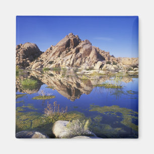 Imán EE.UU., California, Parque Nacional Joshua Tree,