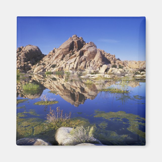 Imán EE. UU., California, Parque Nacional Joshua Tree, (Frente)