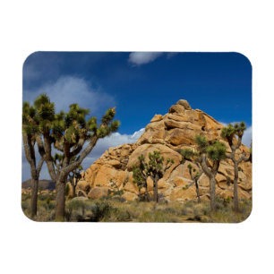 Imán EE.UU., California, Parque Nacional Joshua Tree