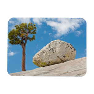 Imán EE. UU., California, Parque Nacional Yosemite. Pin