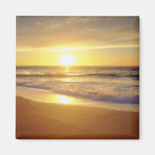 Imán EE.UU., California, San Diego. La Jolla Shores