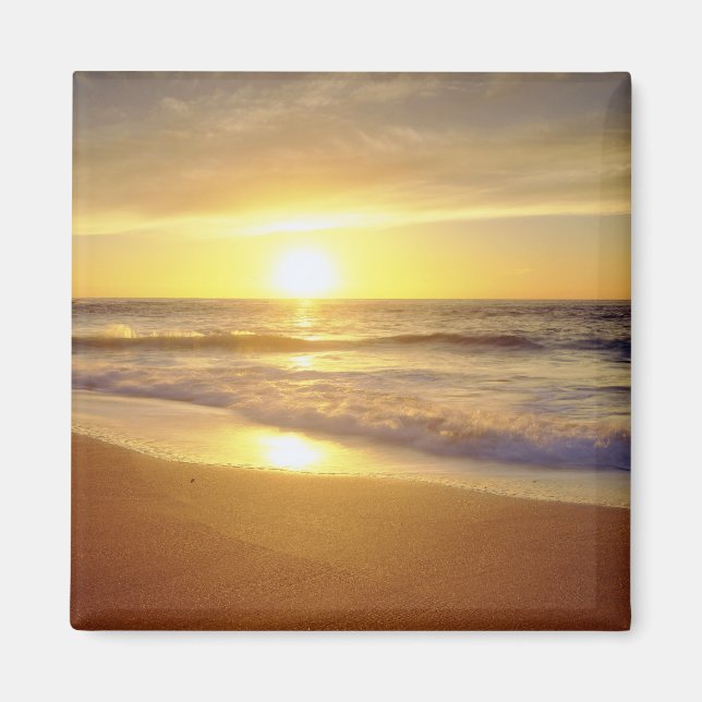 Imán EE.UU., California, San Diego. La Jolla Shores (Frente)