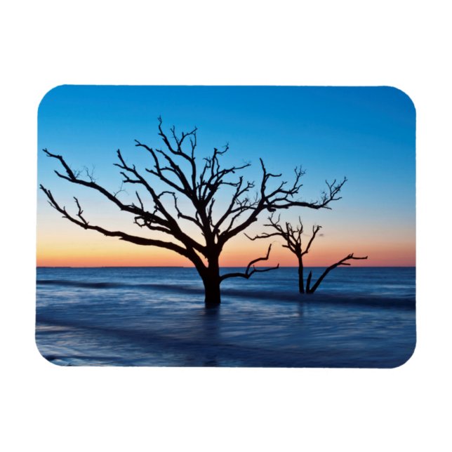 Imán EE. UU., Carolina del Sur, Isla Edisto, Bahía Bota (Horizontal)