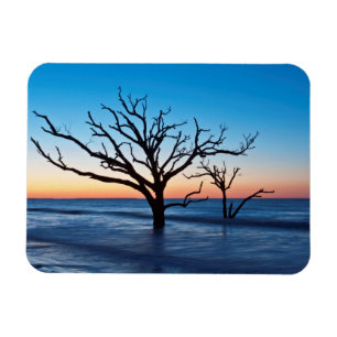 Imán EE.UU., Carolina del Sur, Isla Edisto, Botany Bay