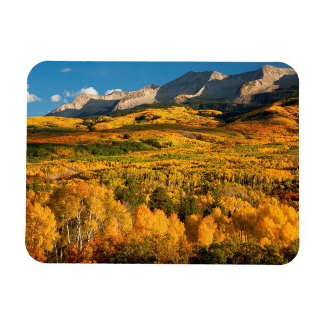 Imán EE. UU., Colorado, Bosque Nacional Gunnison (Horizontal)