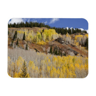 Imán EE. UU., Colorado, Bosque Nacional Gunnison, a lo 