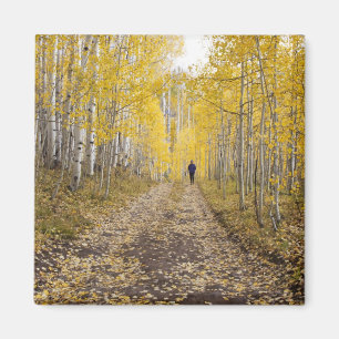 Imán EE. UU., Colorado, Bosque Nacional Gunnison cerca