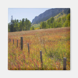 Imán EE. UU., Colorado, Bosque Nacional San Juan, a lo