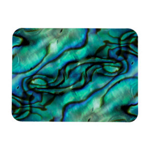 Imán EE.UU., Colorado, Lafayette. Montaje de la concha 