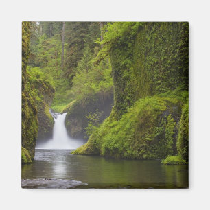 Imán EE. UU., Eagle Creek, Columbia Gorge, Oregon. 3