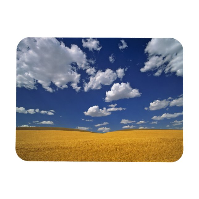 Imán EE. UU., Estado de Washington, Colfax. La cebada m (Horizontal)