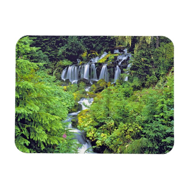 Imán EE. UU., Estado de Washington, Desierto de Mt Adam (Horizontal)