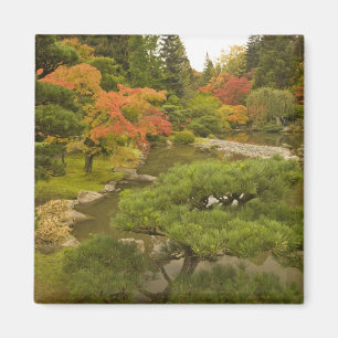 Imán EE. UU., Estado de Washington, Seattle. Japonés