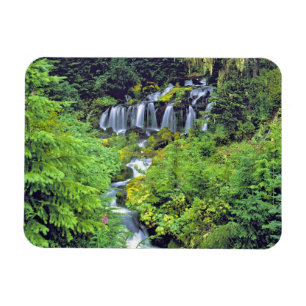 Imán EE.UU., Estado de Washington, Wilderness de Mt Ada