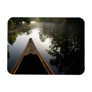 Imán EE.UU., Florida, Bosque Nacional Ocala, Alexander