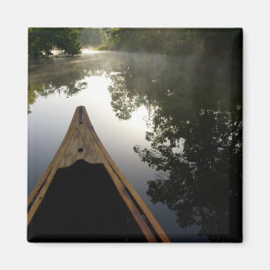 Imán EE.UU., Florida, Bosque Nacional Ocala, Alexander