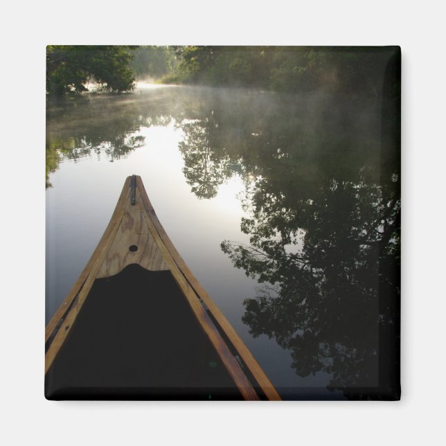 Imán EE.UU., Florida, Bosque Nacional Ocala, Alexander (Frente)