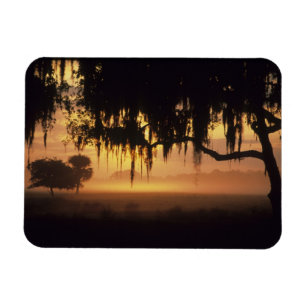 Imán EE. UU., Florida, lago Kissimmee. Silueta al amane
