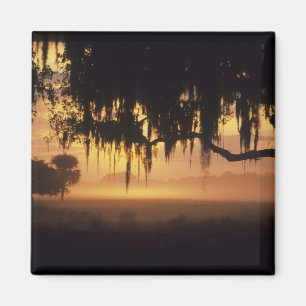 Imán EE. UU., Florida, lago Kissimmee. Silueta al amane