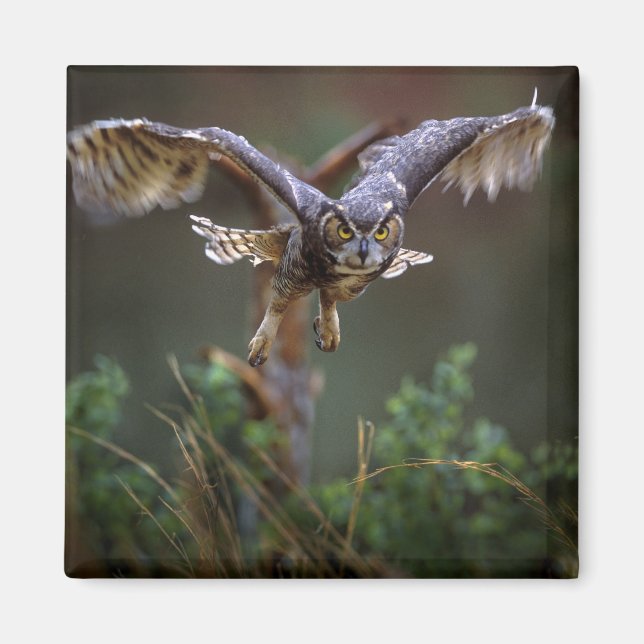 Imán EE.UU., Georgia, Montaña Pine, Jardines Callaway. (Frente)